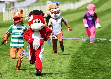The Business of Mascot Racing: Sponsorships and Advertising Opportunities